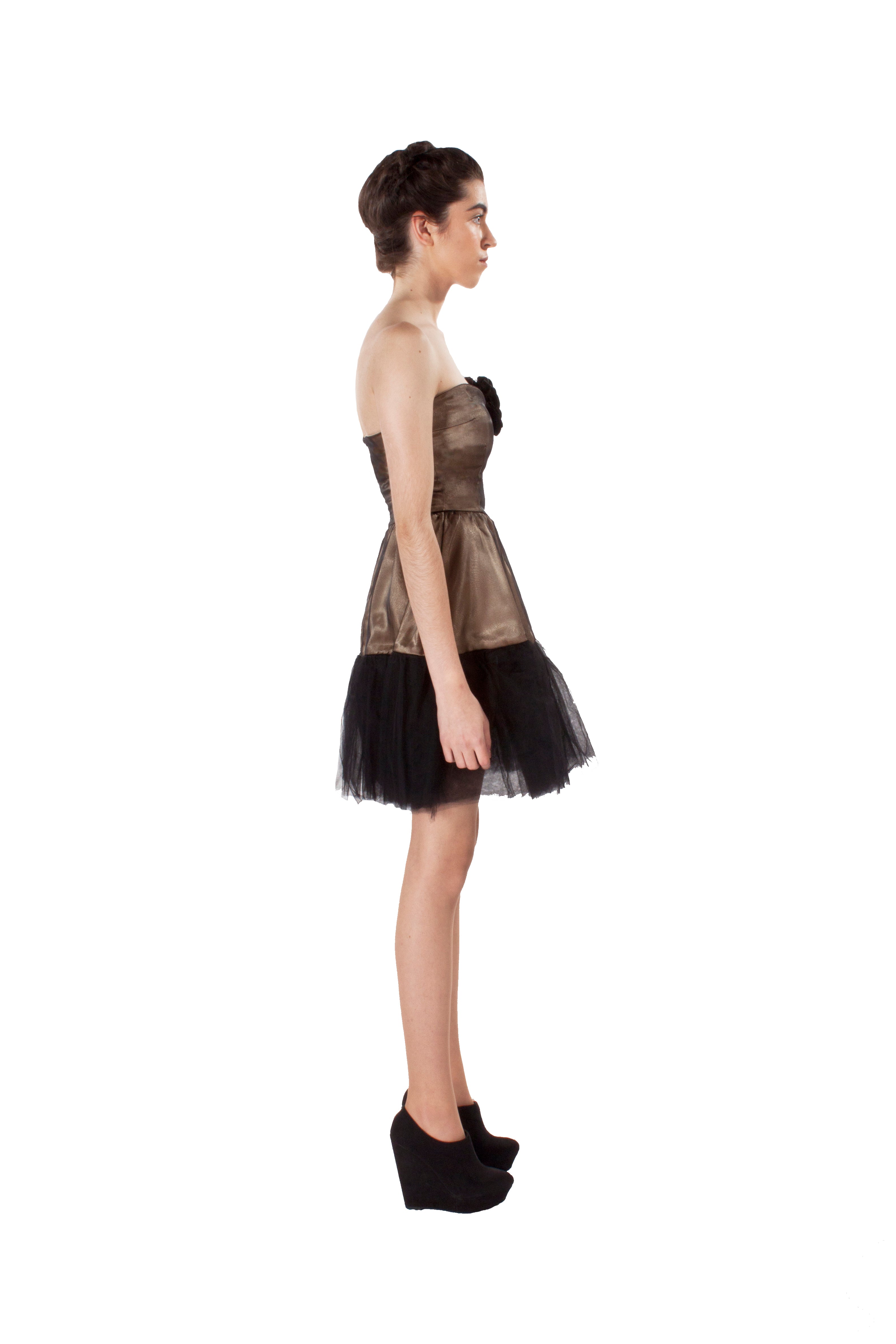 STRAPLESS EMBELLISHED DRESS