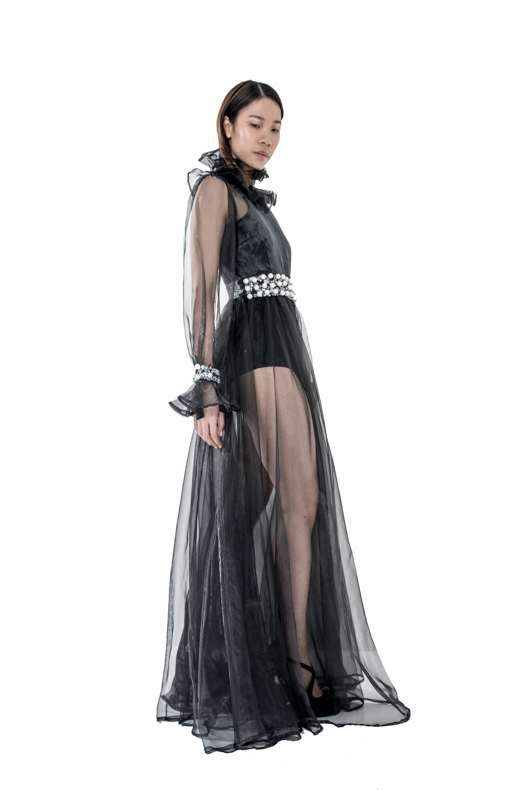 CRYSTAL HAND EMBELLISHED TRANSPARENT GOWN