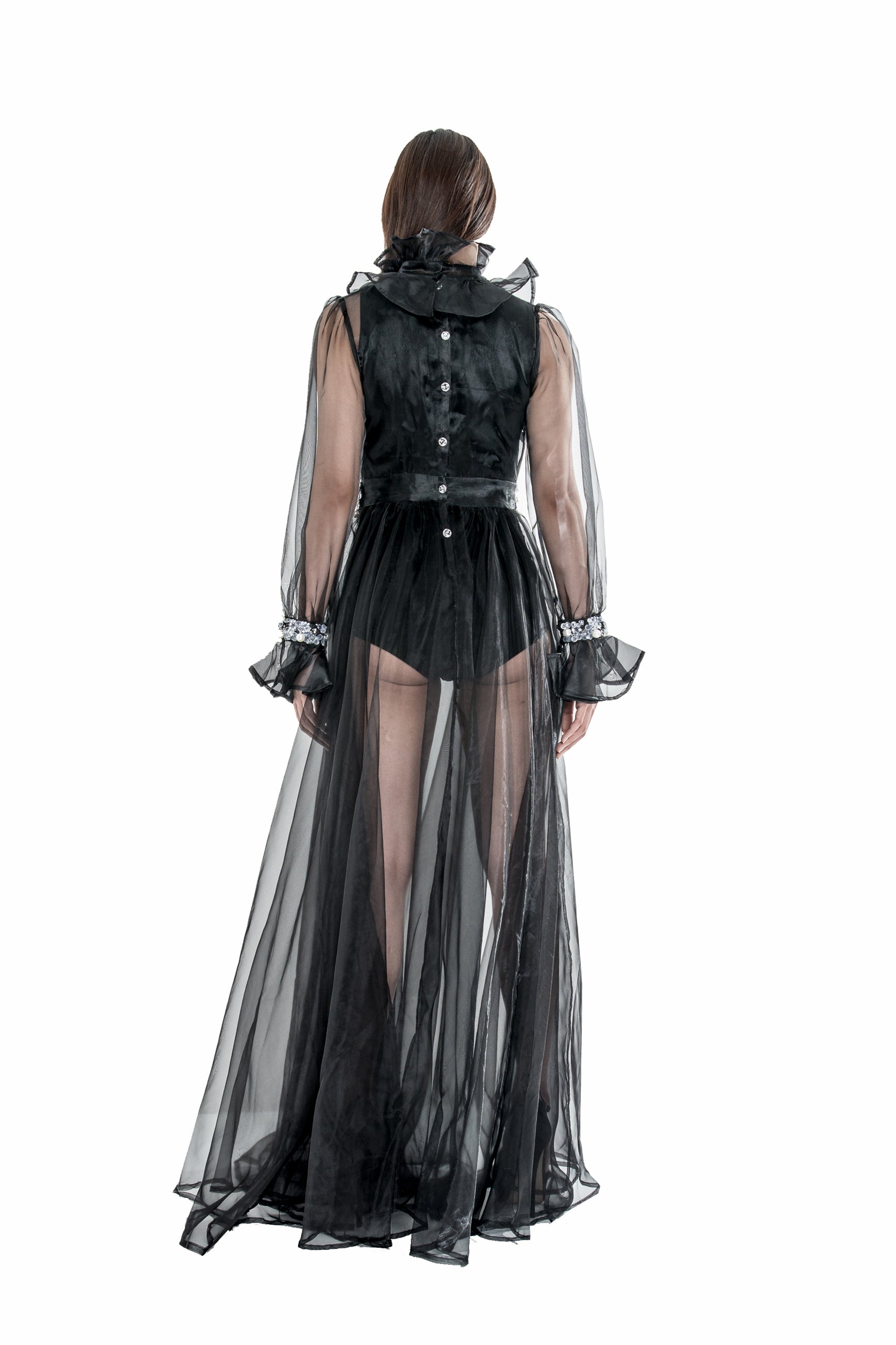 CRYSTAL HAND EMBELLISHED TRANSPARENT GOWN